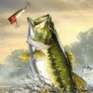 Meet your Posher, Johnny